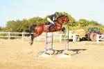 SBM_003367