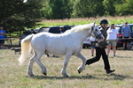 WJ6_4917