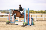 SBM_007379