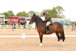 SBM_01566