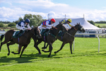 080926-Race 4-Kings Merchant-2521