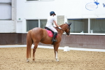 SBM_010232