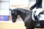 0B8A9834