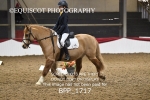 BPP_1717