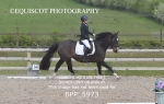 BPP_5973