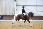 SBM_000798