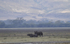 N'Gorongoro