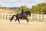 SBM_009665
