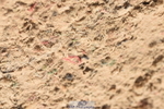 230915A-123608-00419