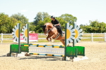 SBM_005419