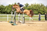 SBM_003387