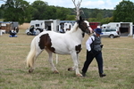 WJ6_5320