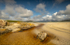 Luskentyre Beach by Tim Clarke