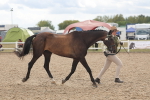 SBM_06886