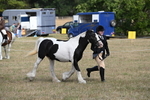 WJ6_6476
