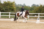 SBM_01666