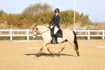 SBM_009091
