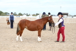 SBM_19058