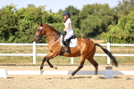 SBM_006826