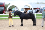 SBM_05946