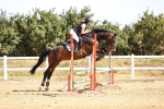SBM_000291