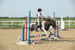 SBM_010709
