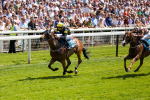 270523-Race 1-Doctor Khan Junior-0407