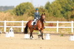 SBM_016691