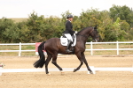 SBM_001454