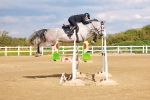 SBM_002387