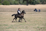 WJ6_5122