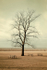bare [vintage]