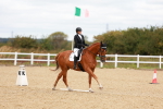 SBM_001912