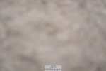 250308-133046-02200