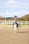 SBM_000946