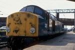 30th July 1984