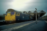 31st July 1984