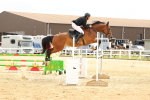 SBM_010214