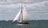 170603 OLD GAFFERS - CARLOTTA - 1Y3A2720
