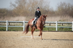 SBM_008544