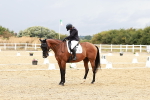 SBM_003786