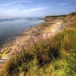 Kimmeridge Bay