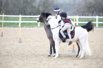 SBM_004021