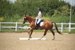 SBM_009483