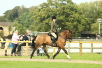 SBM_68195