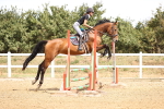 SBM_000531