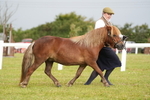 DSC04536