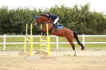 SBM_005950
