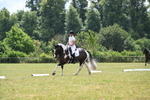 WJ6_6871