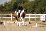 SBM_015118